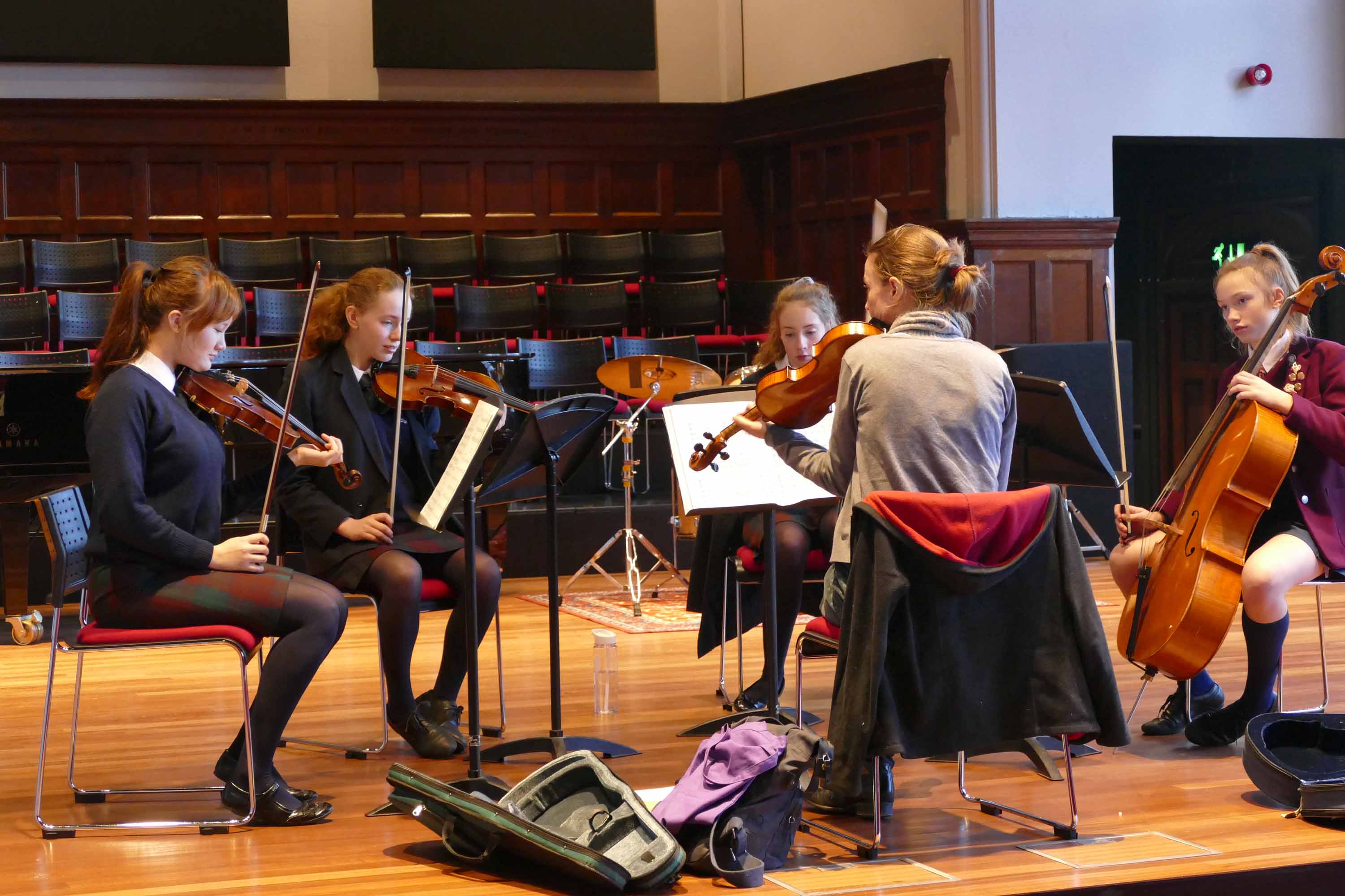 String Chamber Workshop and Concert - 2nd February 2018